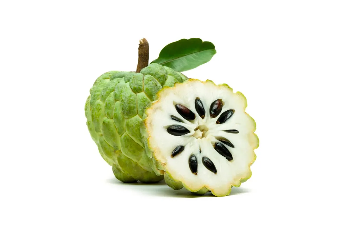 Custard Apple